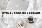 西宁综艺黑人素材下载网站（黑人应援视频在哪买）